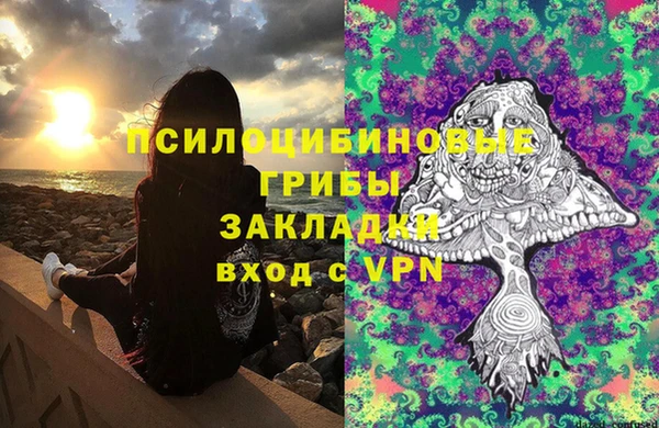 синтетический гашиш Дмитровск