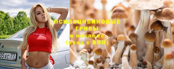 кокаин колумбия Дмитриев