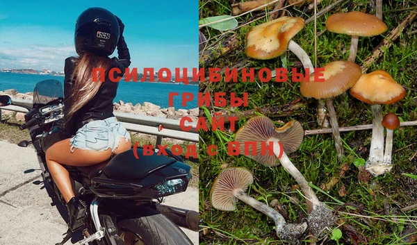 синтетический гашиш Дмитровск