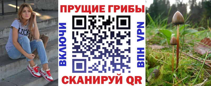 Купить закладки Избербаш Галлюциногенные грибы GOLDEN TEACHER